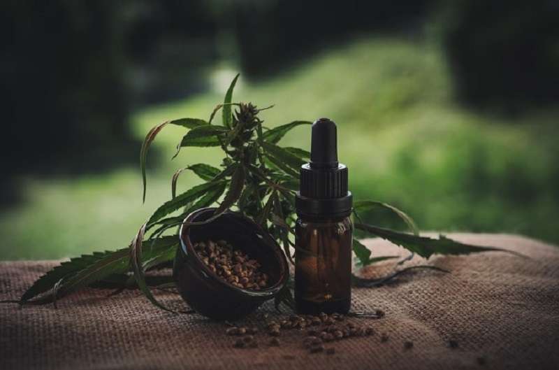 CBD Oil is not psychoactive