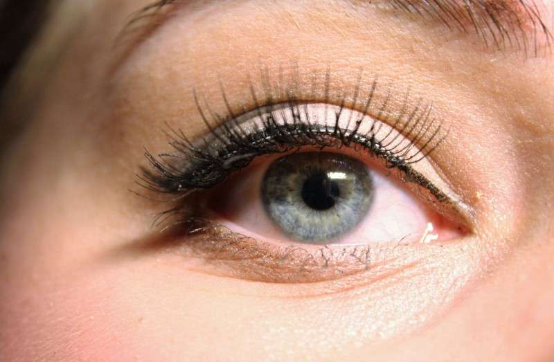 Eyelash serum