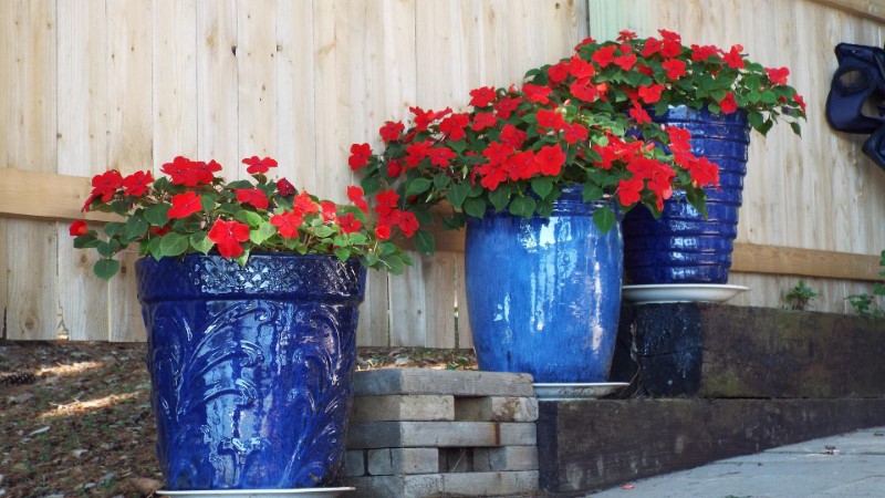 Outdoor flowerpot in a color that stands out