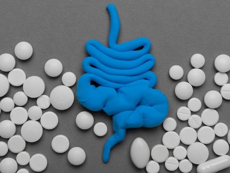 probiotics - pills - bacteria in the gut