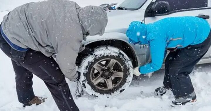 Snow chains