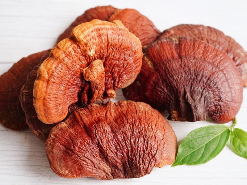 reishi