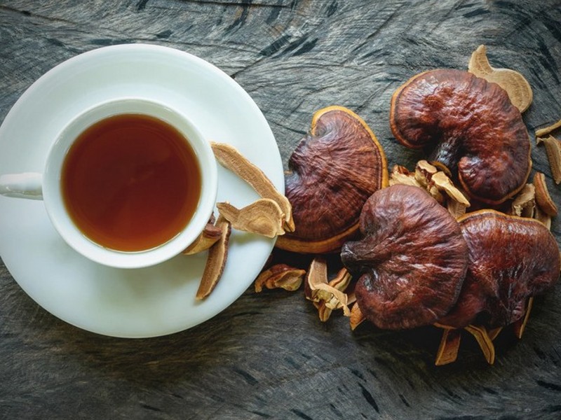 reishi dried to make tea