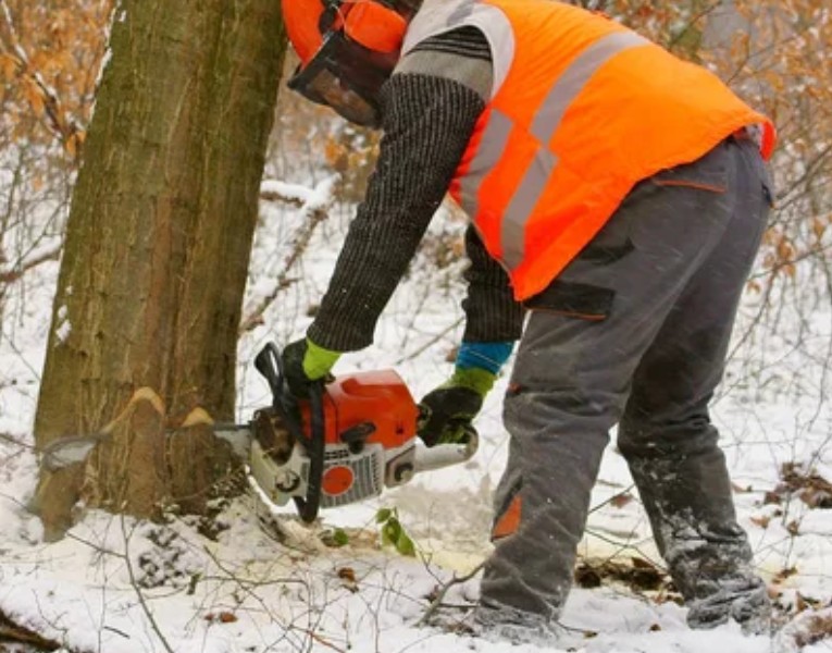The deep sole profile in forestry boots