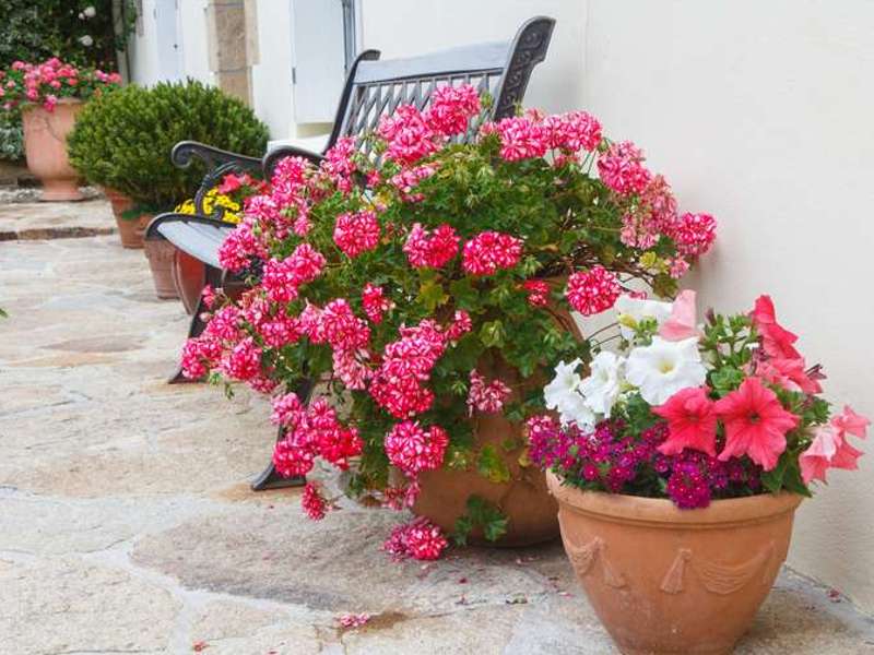 outdoor pots and planters